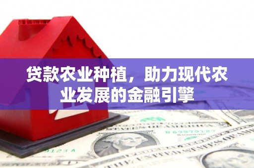 叶县贷款农业种植，助力现代农业发展的金融引擎