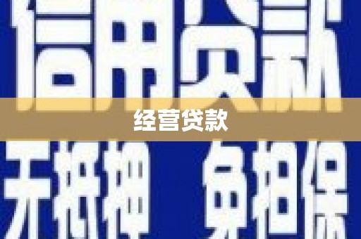 贞丰经营贷款