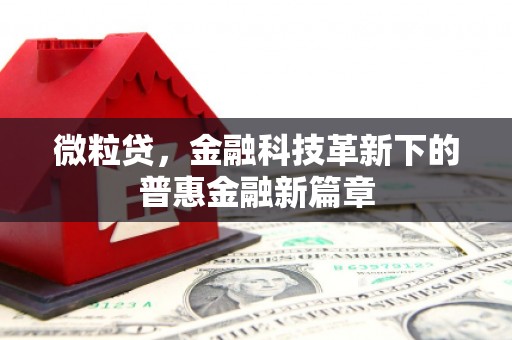 嘉善微粒贷，金融科技革新下的普惠金融新篇章