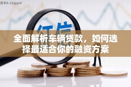 泰顺全面解析车辆贷款，如何选择最适合你的融资方案