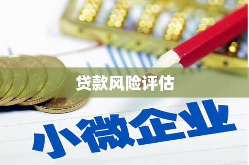 德昌贷款风险评估
