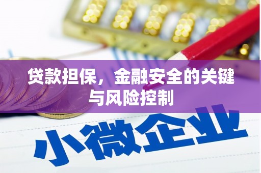 曹妃甸贷款担保，金融安全的关键与风险控制