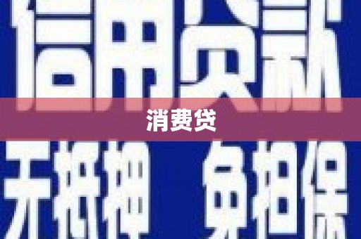 东城消费贷