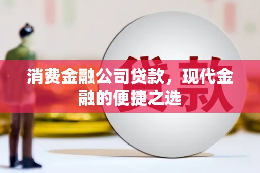 达茂旗消费金融公司贷款，现代金融的便捷之选