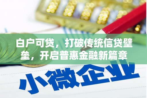 林州白户可贷，打破传统信贷壁垒，开启普惠金融新篇章