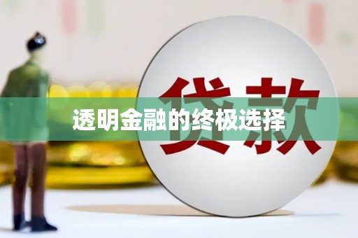 天津透明金融的终极选择
