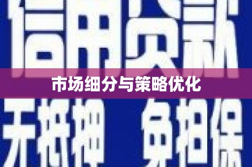 康县市场细分与策略优化
