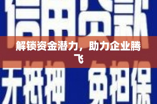 新埤解锁资金潜力，助力企业腾飞