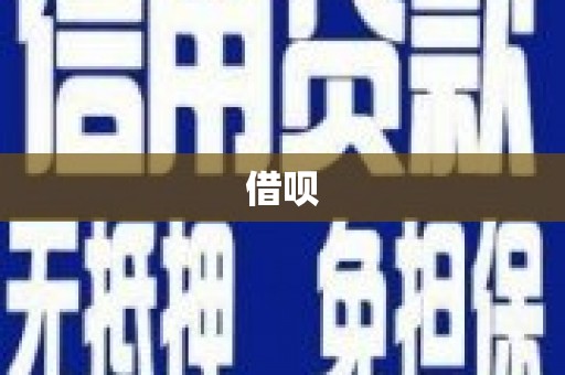 苑里借呗