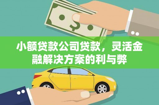 潭子小额贷款公司贷款，灵活金融解决方案的利与弊